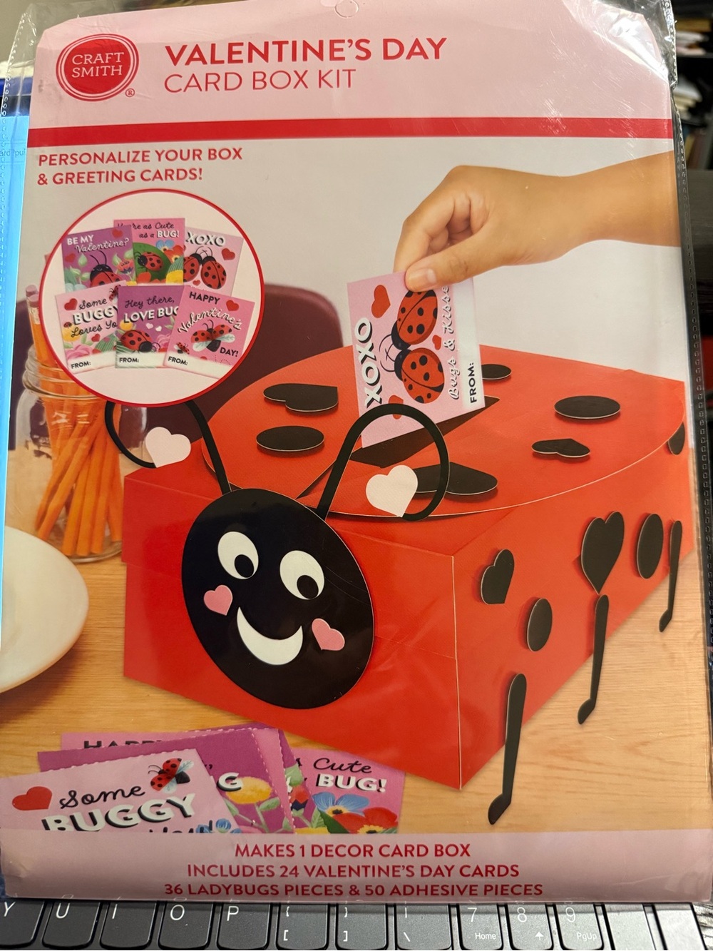 Craft Smith Valentine’s Day Ladybug Card Box Kit - Red & Black